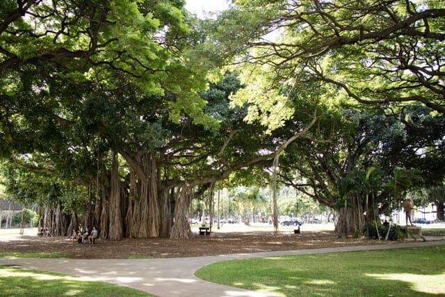 ハワイカピオラニ公園