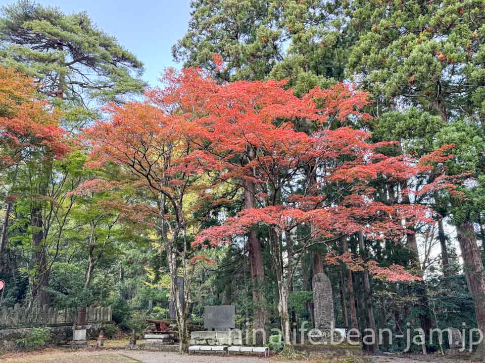 新潟親子旅・春日山神社の紅葉